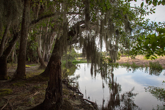 The Myakka Murders by Doug Sahlin, Myakka State Park, Sarasota, Florida, Sarasota murder mystery novel,