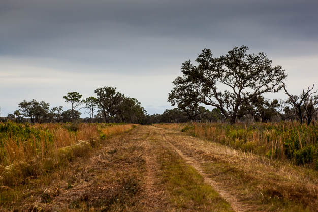 The Myakka Murders by Doug Sahlin